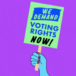 graphic we demand voting rights now