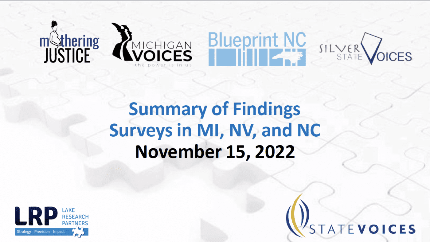 Summary of Findings Surveys in MI, NV, and NC November 15,2022