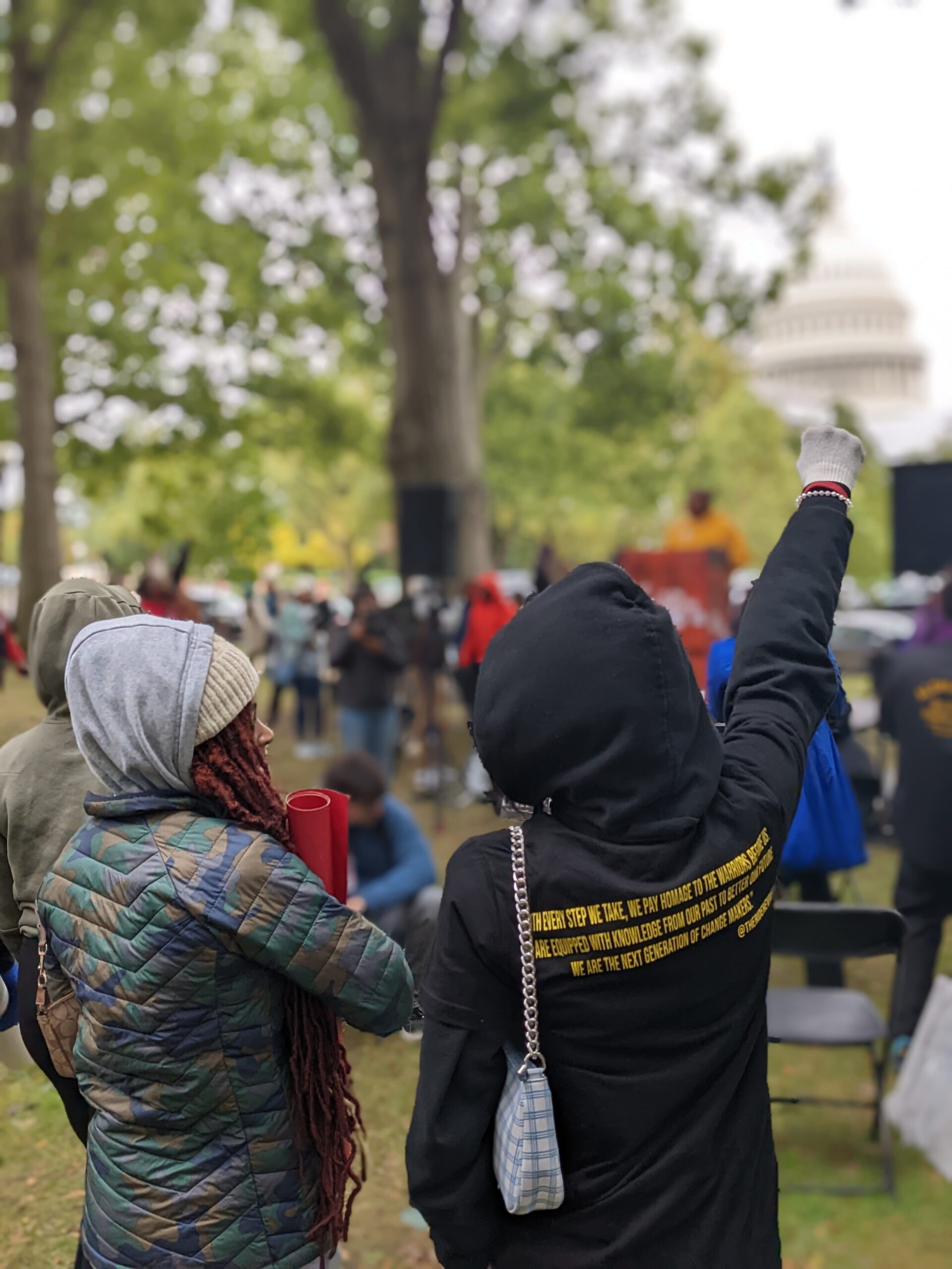 Two protestors standing facing the United States Capital, one with their raised fist in the air.