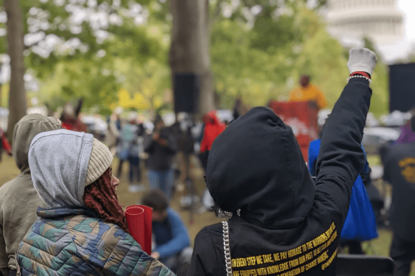 Two protesters stand in front of the capital, one with their fist raised.