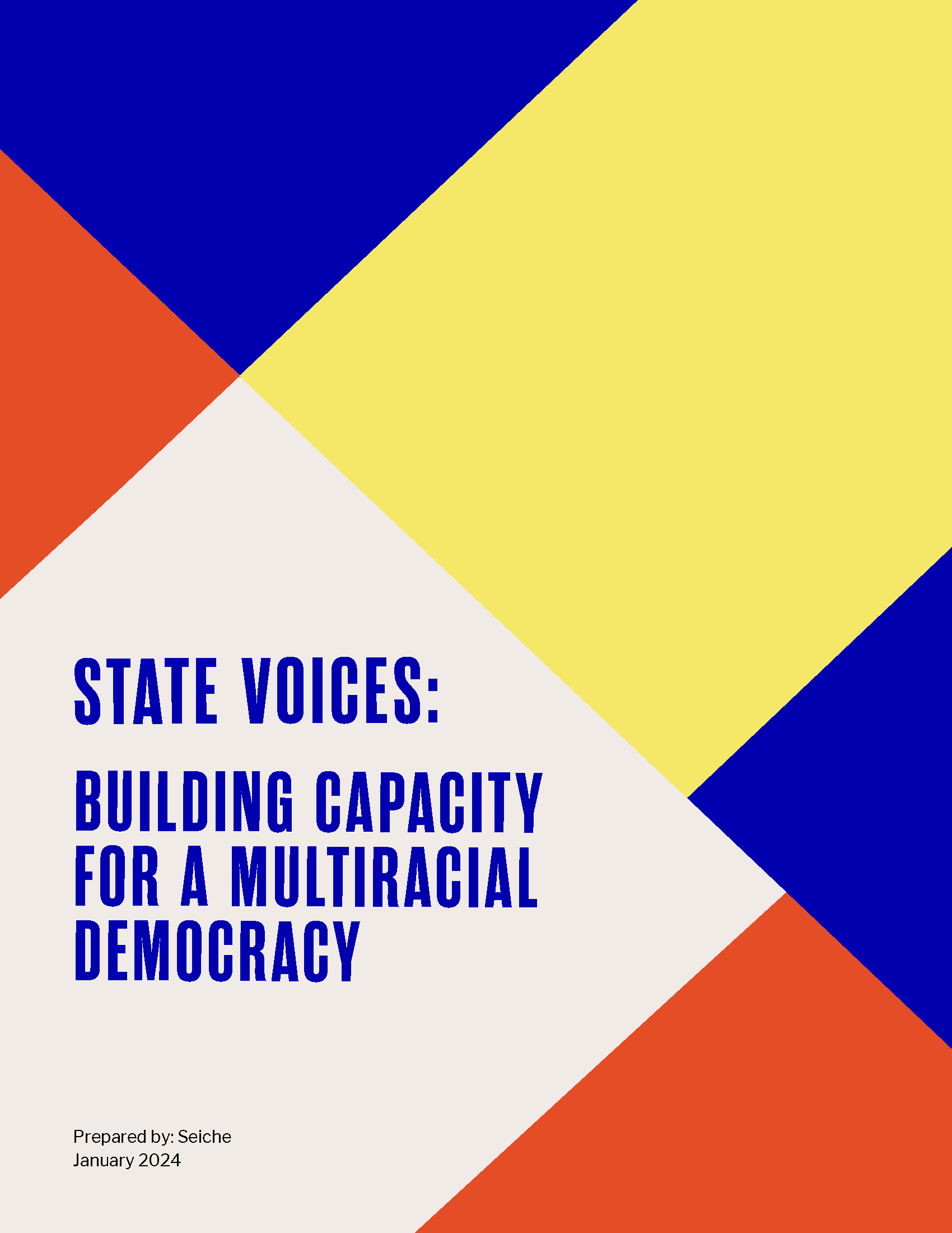 Building capacity for a multiracial democracy