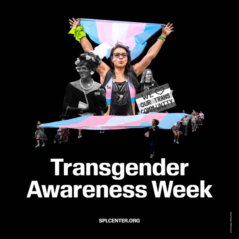 Image for the Tweet beginning: Transgender Awareness Week is a